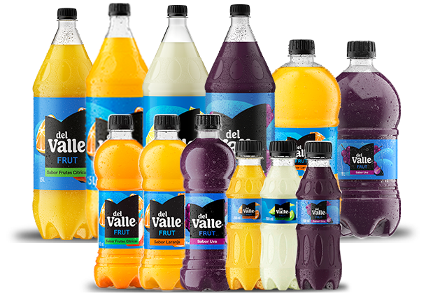 DEL VALLE FRUT